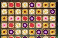 Risolvi puzzle, raccogli fiori e sblocca livelli!