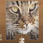 Goditi l'esperienza di puzzle definitiva!