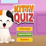 Gattini quiz