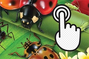 Ladybug Clicker