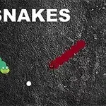 Gioco di Snake digitale con due serpenti, uno verde e uno rosso, su sfondo nero con la parola SNAKES in alto